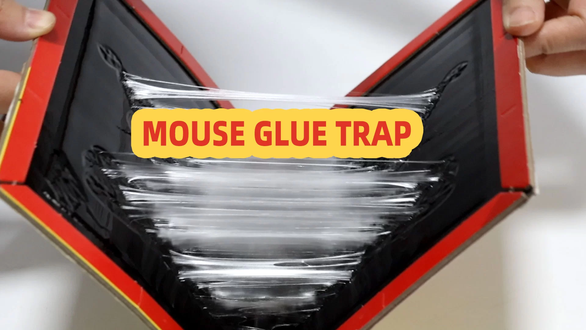 Paano Gumagamit ng Mouse Glue Traps nang epektibo