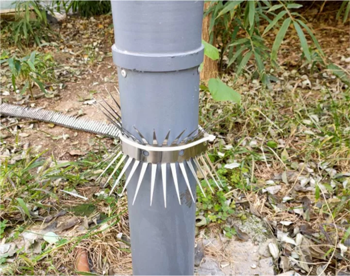 Anti-mouse spike: Mga pisikal na hadlang para sa pag-iwas sa eco-conscious